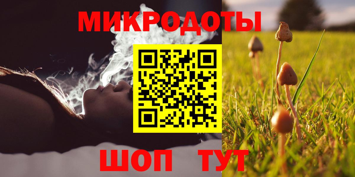 Гатчина  Псилоцибиновые грибы прущие грибы  Вход с VPN 